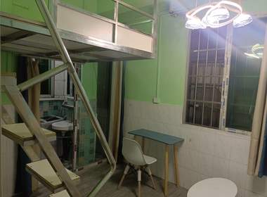 棠下梅园新村三巷11号 