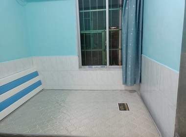 棠下梅园新村三巷11号 