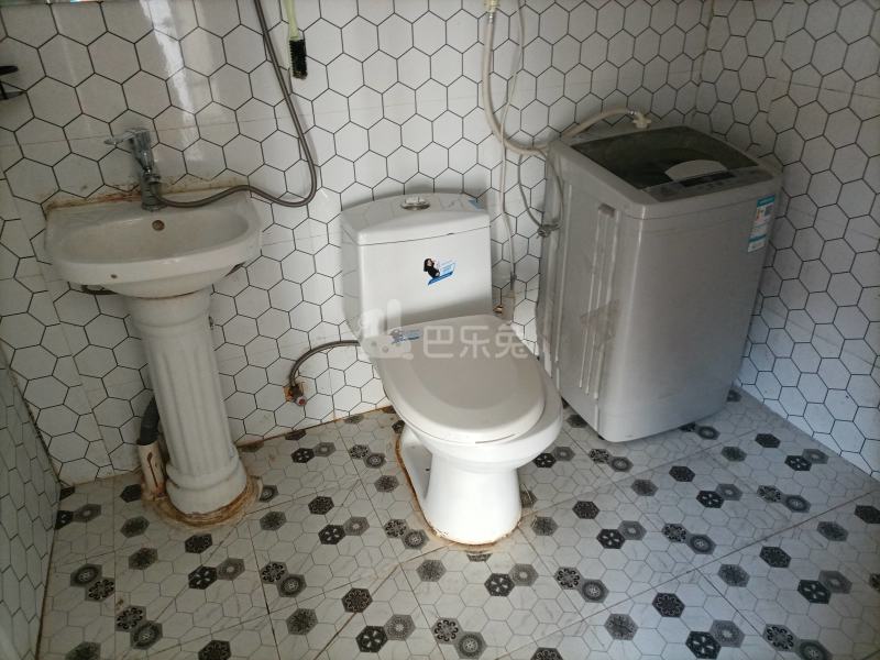 三林世博家园D区7276033卫生间图6