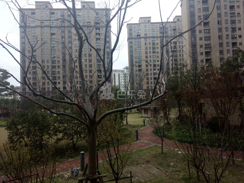 绿洲丰怡园9506192周边环境图13