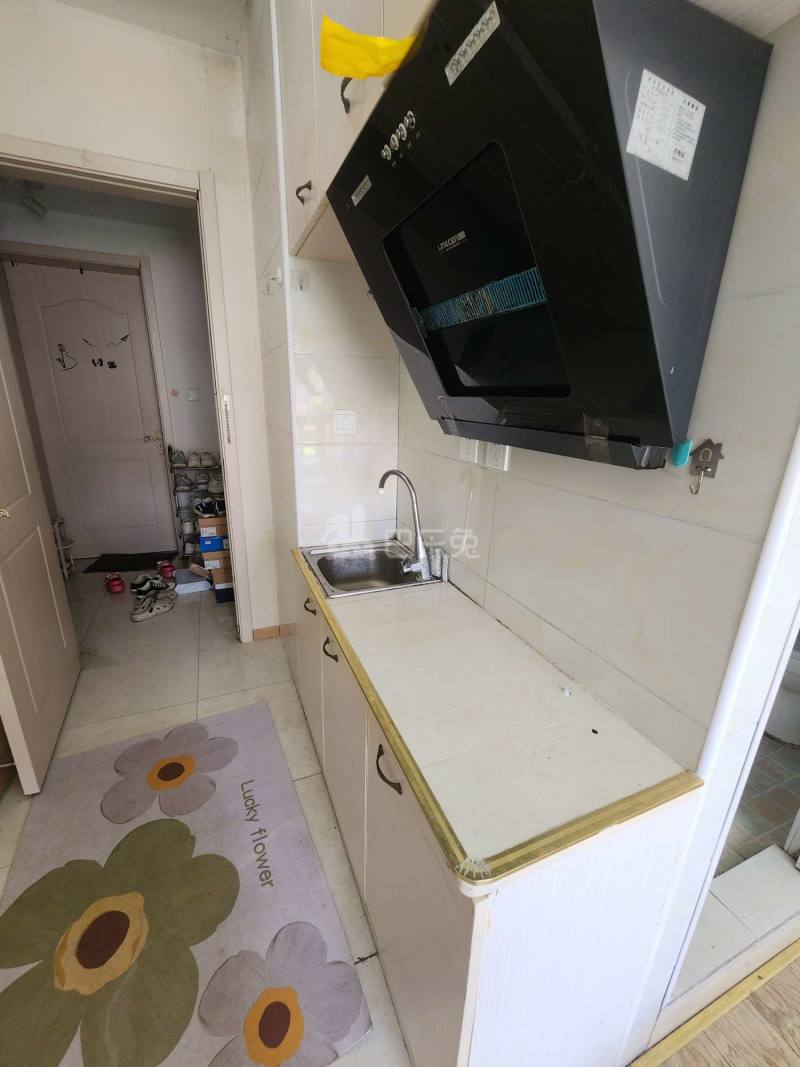 水清年华花园7284203厨房图4