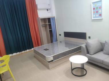 棠溪祥岗新街4号 1室0厅1卫