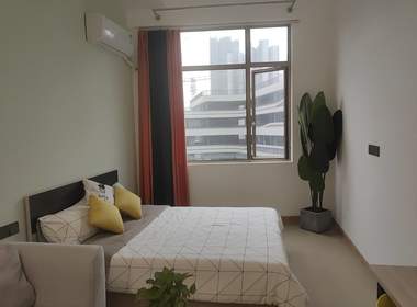 棠溪祥岗新街4号 1室0厅1卫