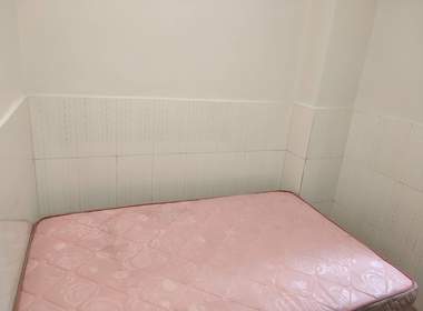 江夏西头塘北五巷4号 2室1厅1卫