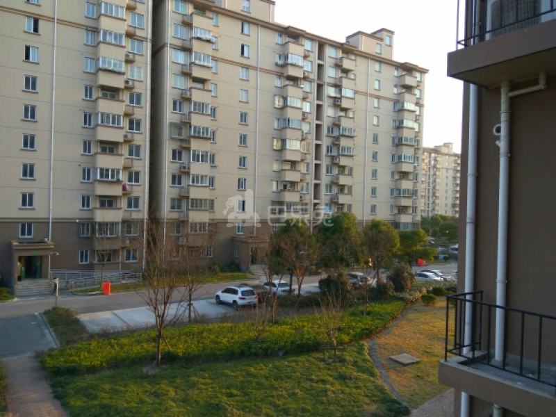 滨浦新苑三村13505648周边环境图6