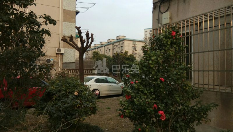 通河三村17730354周边环境图0