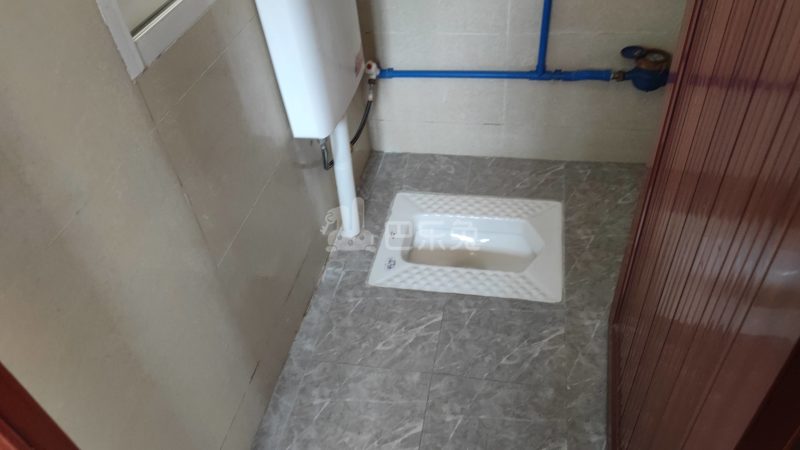 棠东荔园新街31号7306041卫生间图7