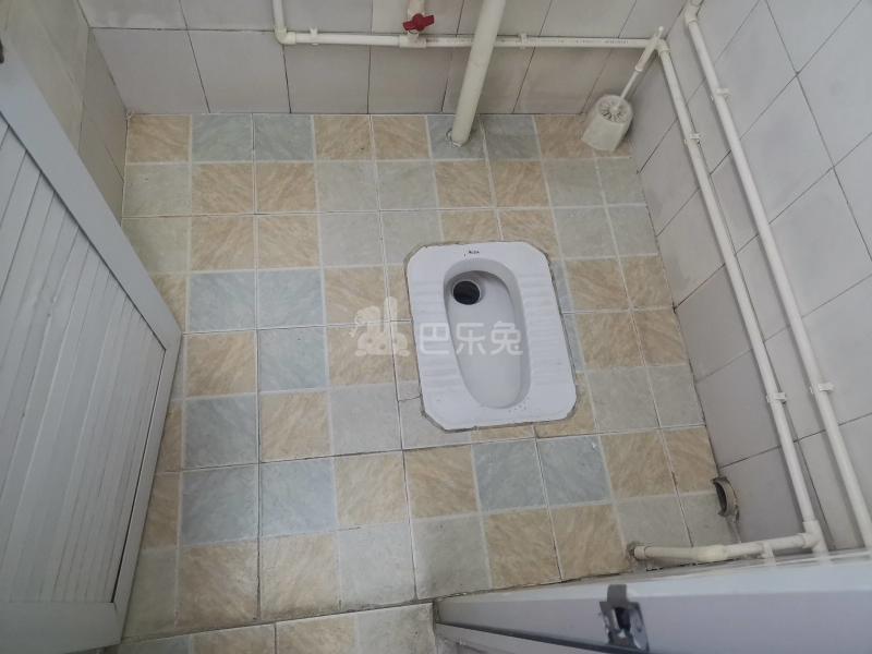 棠下儒林大街3号7357844卫生间图7