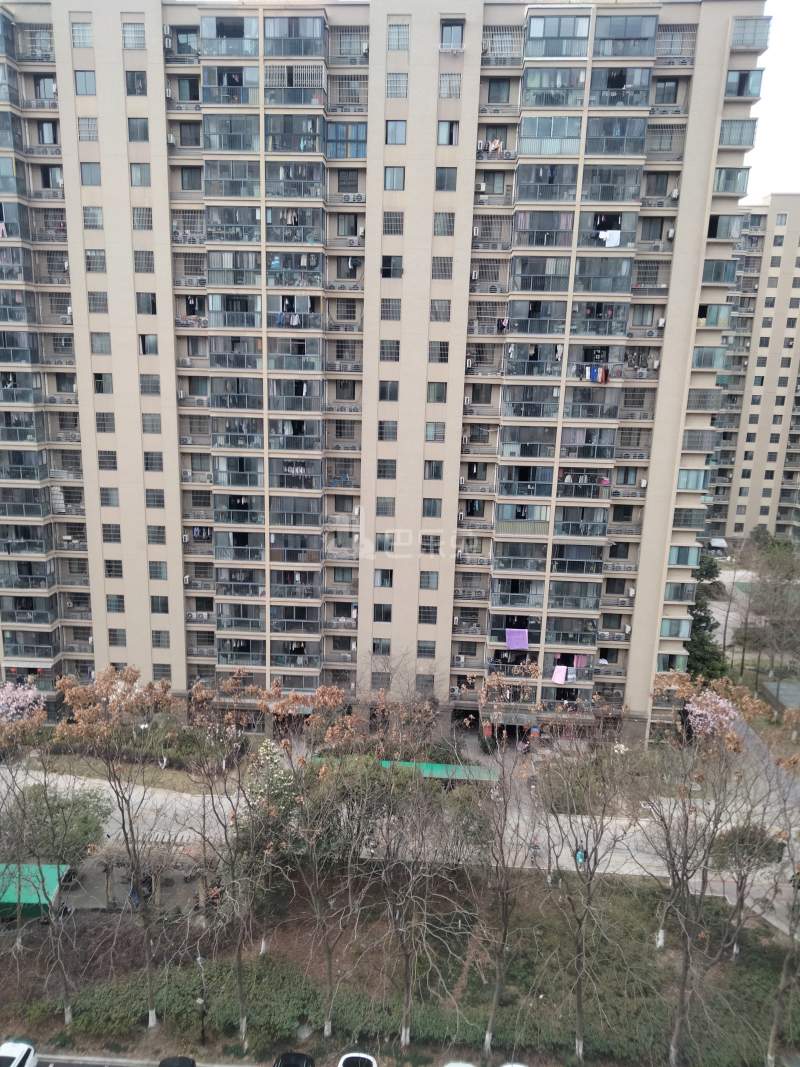 顺达花苑东区7382509周边环境图7