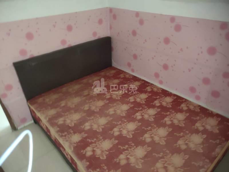 嘉禾街新科下新村九横巷1号7388668卧室图4