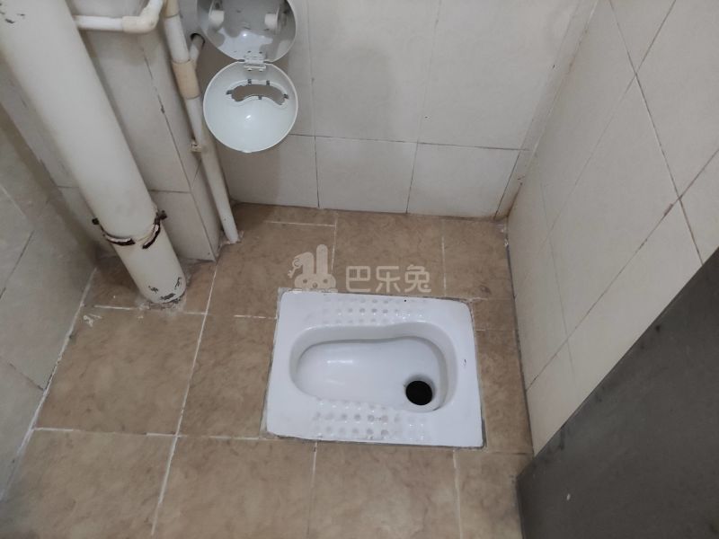 嘉禾街新科下新村九横巷1号7388687卫生间图6