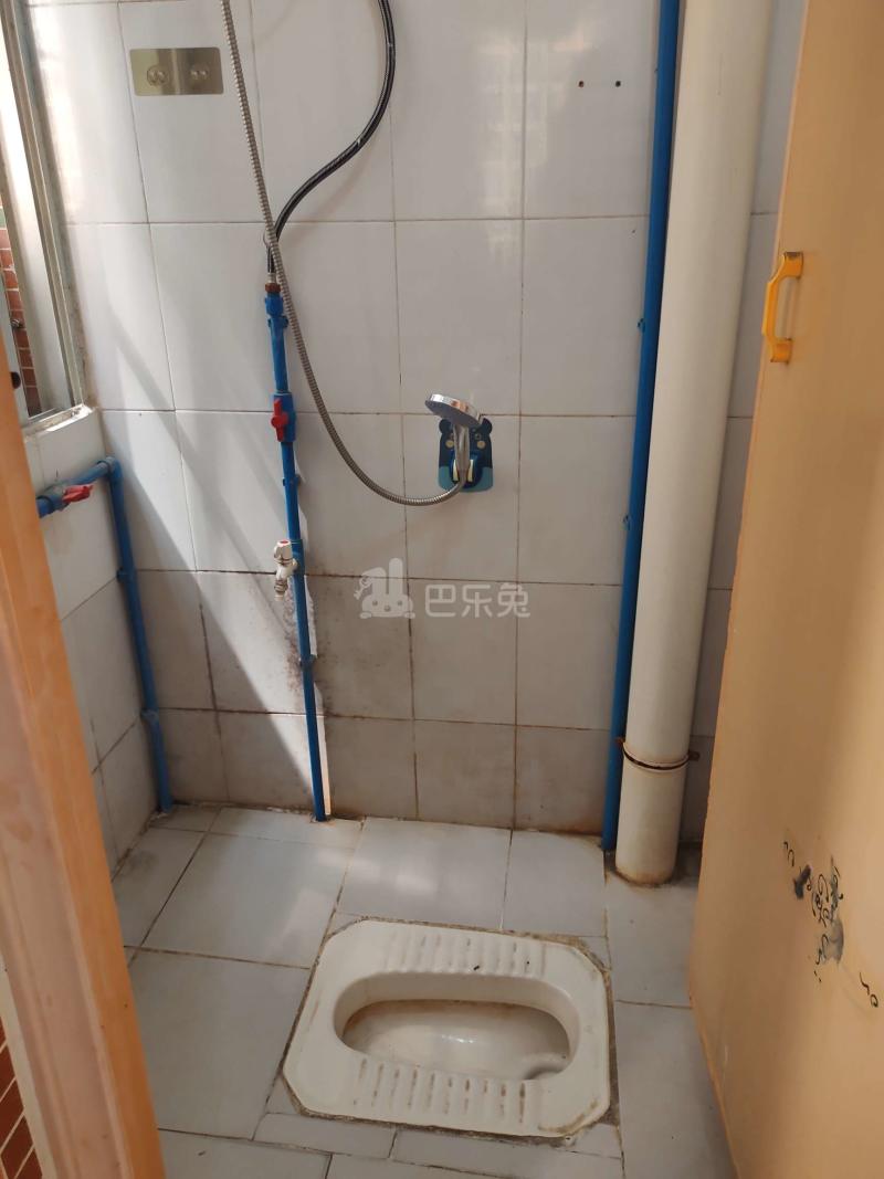 嘉禾街新科下新村新苑街七巷1号7388707卫生间图4