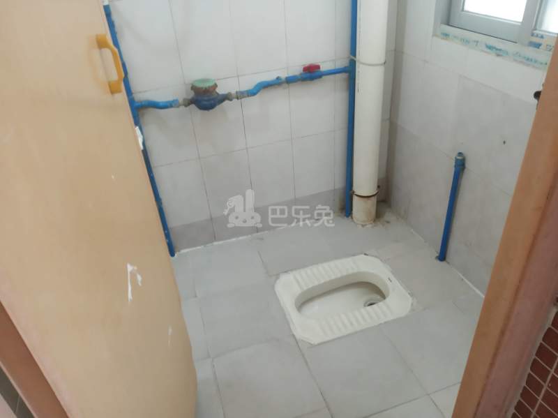 嘉禾街新科下新村新苑街七巷1号7388709卫生间图7