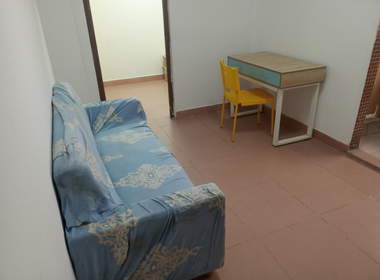 嘉禾街新科下新村新苑街七巷1号 