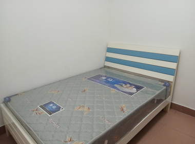 嘉禾街新科下新村新苑街七巷1号 