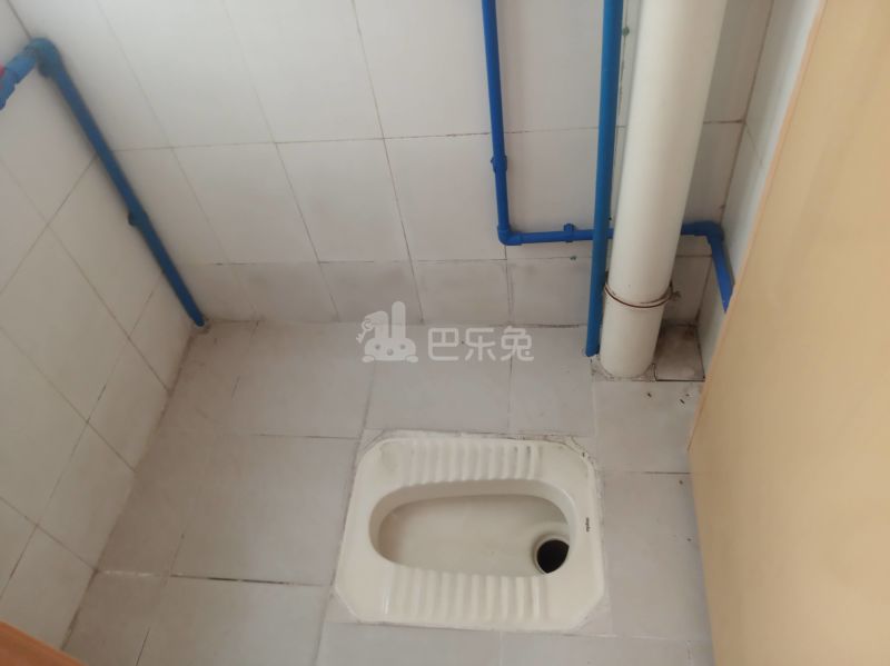 嘉禾街新科下新村新苑街七巷1号7388712卫生间图5