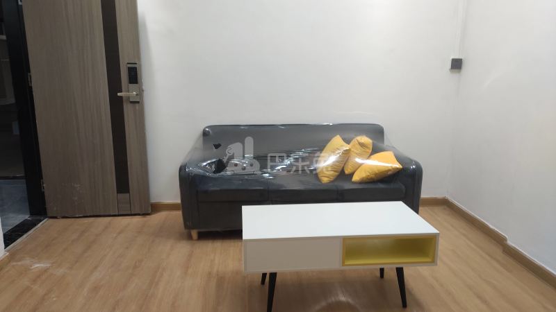 东圃二横路84号7399094客厅图7