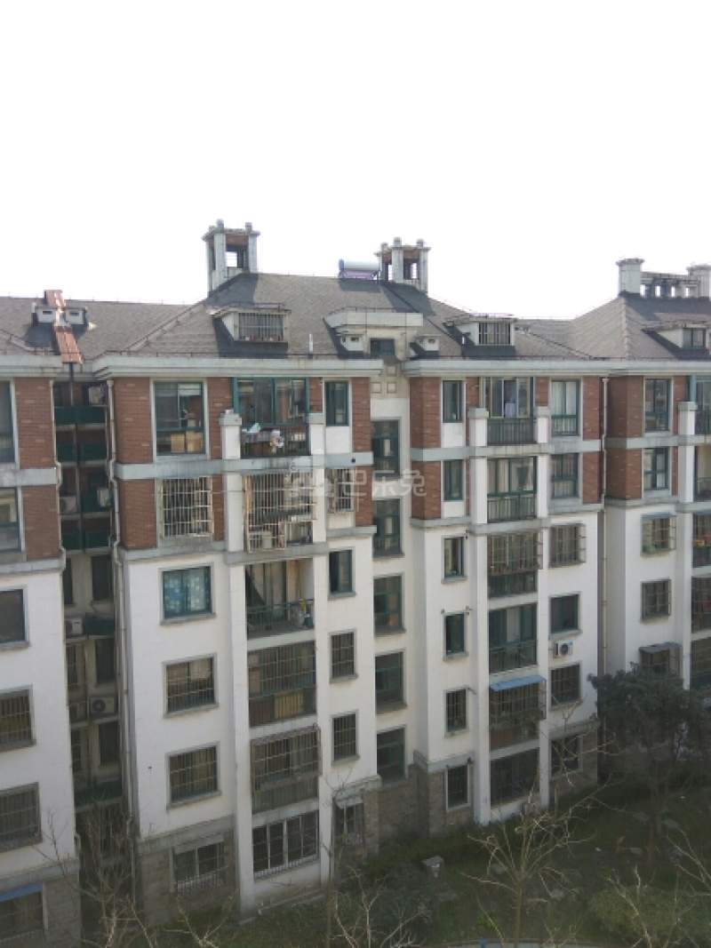 金港花园一期10083264周边环境图8