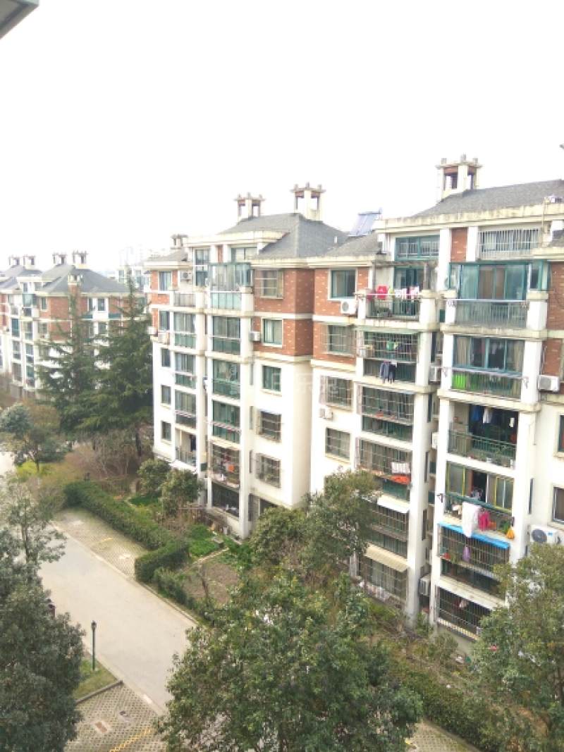 金港花园一期10083264周边环境图9