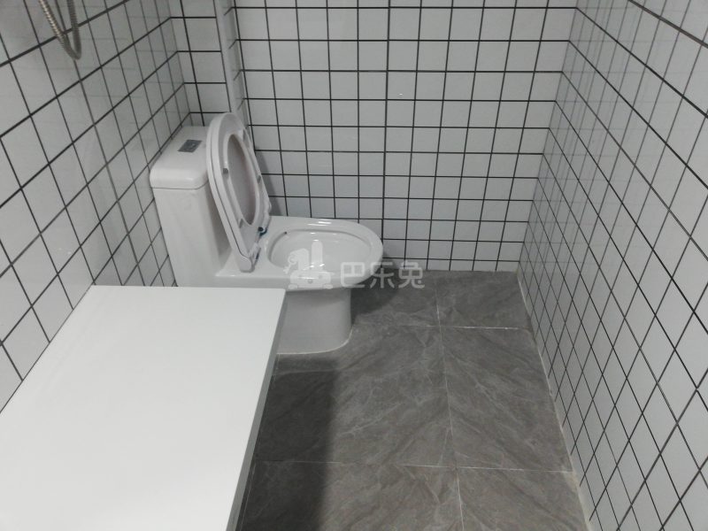 棠下科新路18号7438007卫生间图6