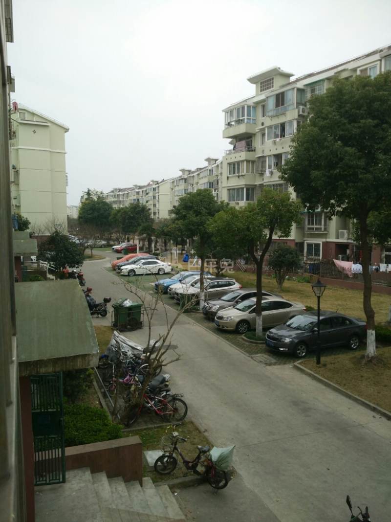 古桐二村11598350周边环境图11