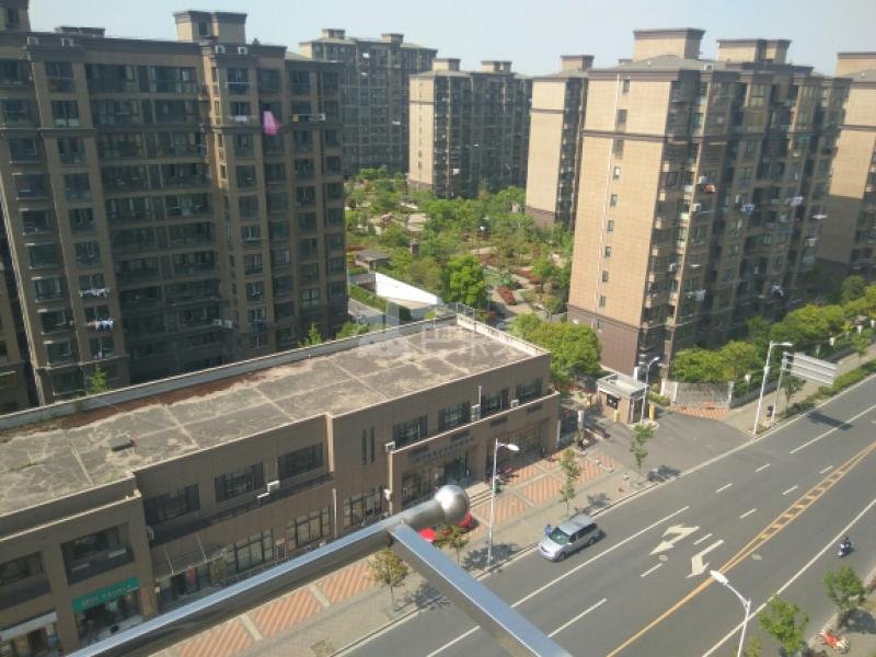 美罗家园罗贤苑9631409周边环境图12