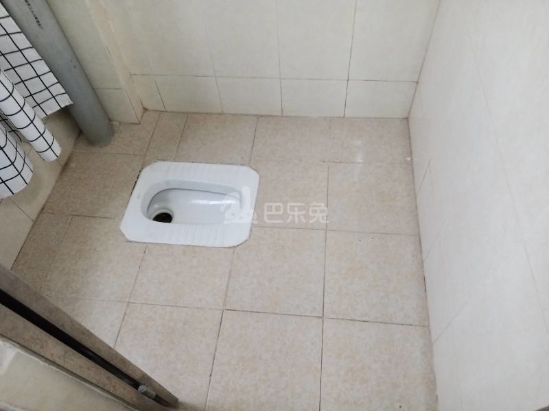 新城花园（天河）7462336卫生间图9