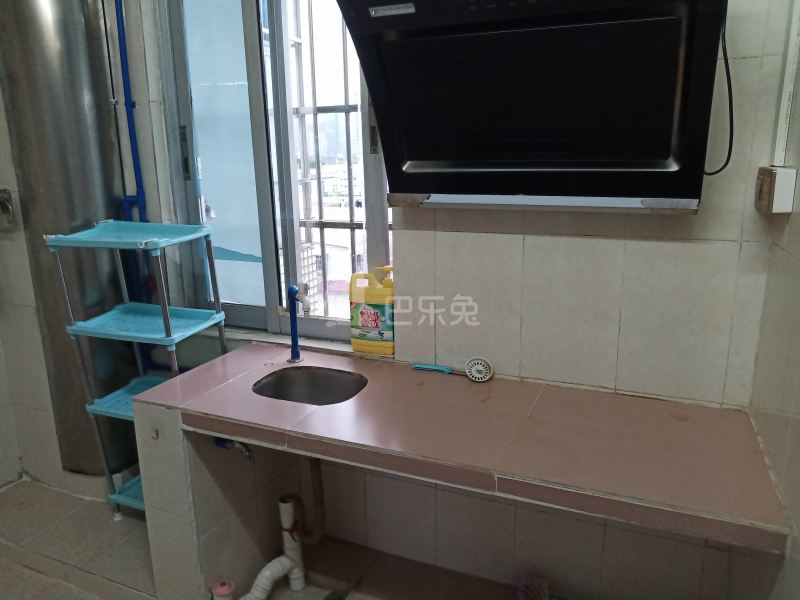 新城花园（天河）7462336厨房图8