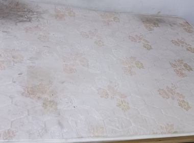 逸仙路3808号 1室0厅1卫