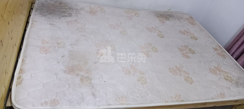 逸仙路3808号7480723卧室图0