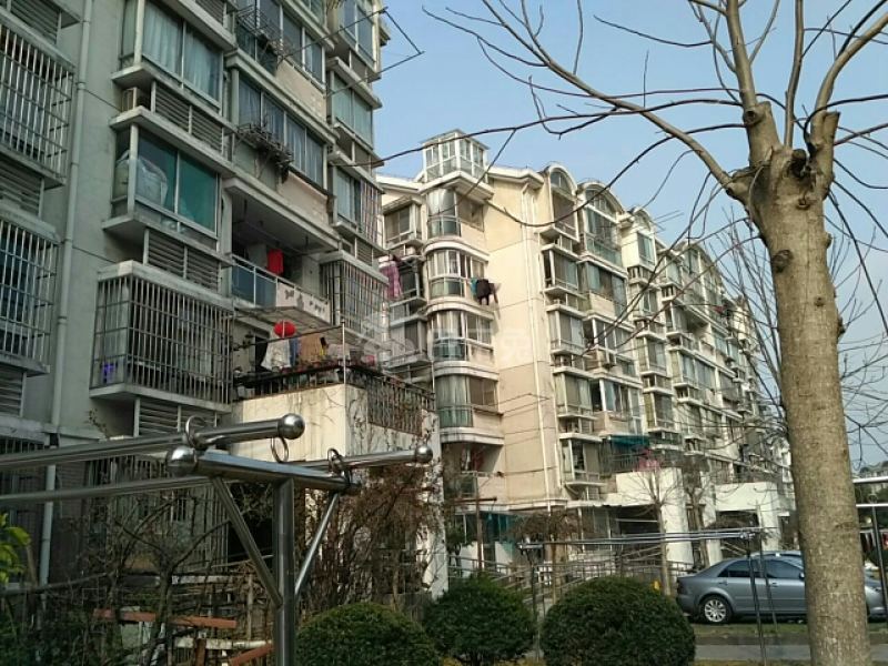 杉林新月家园（环林东路879弄）15895293周边环境图12