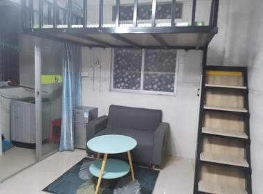 棠下岗元新村东六巷11号 