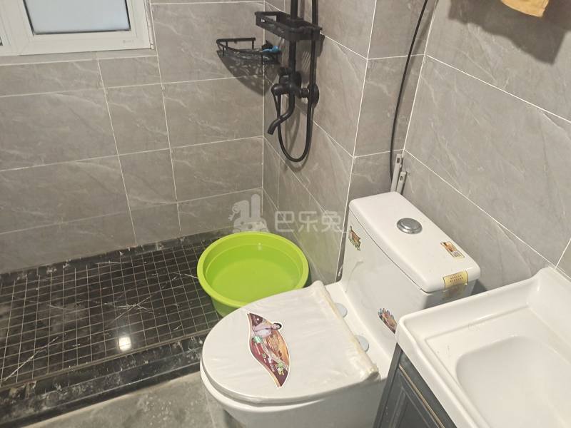 枣阳路530弄7523241卫生间图2