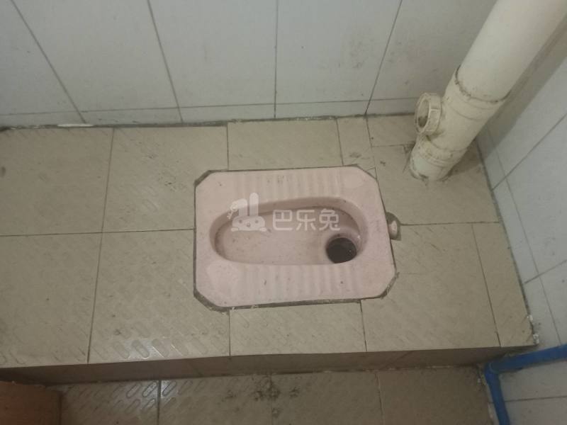 龙诚汇物业（龙洞村龙洞聚贤小区二巷9号）7546823卫生间图5