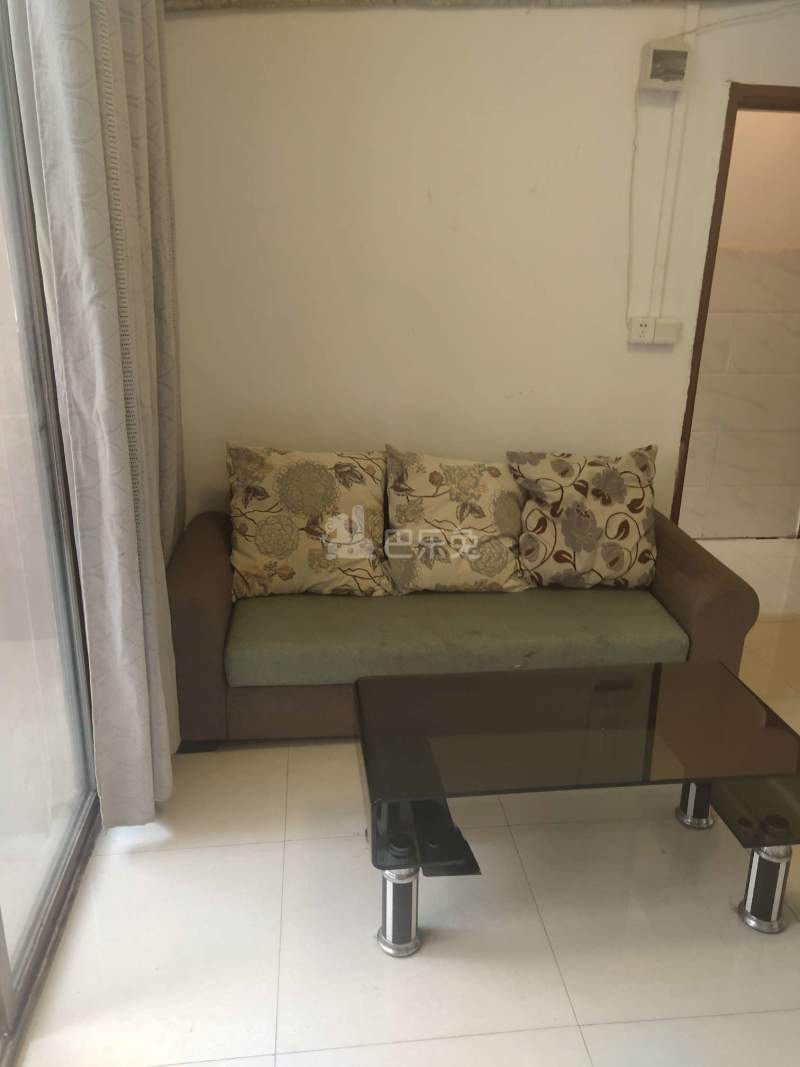 鹅掌坦西街21号7608805客厅图8