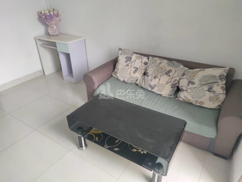 鹅掌坦西街21号7608837客厅图5