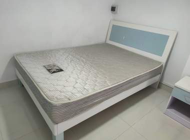 鹅掌坦西街21号 1室0厅1卫