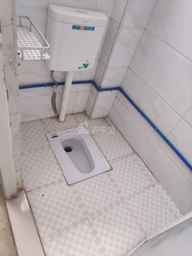 鹅掌坦西街21号7608895卫生间图3