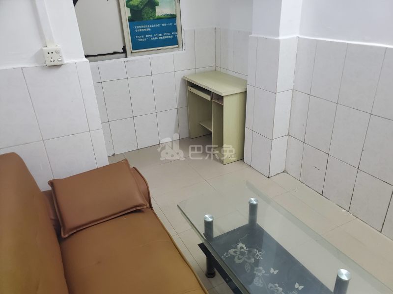 鹅掌坦西街87号7610315客厅图7