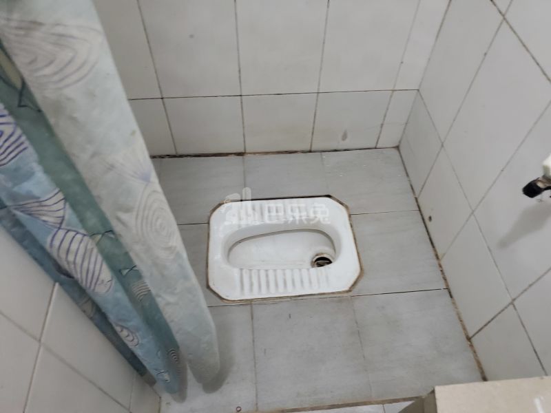 鹅掌坦西街87号7610315卫生间图9