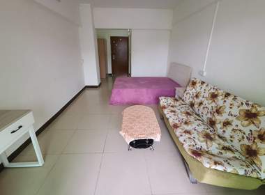 嘉华商务公寓（石厦路108-2号） 1室1厅1卫