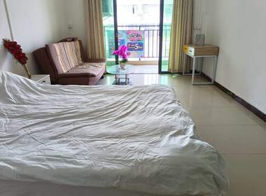 嘉华商务公寓（石厦路108-2号） 1室1厅1卫