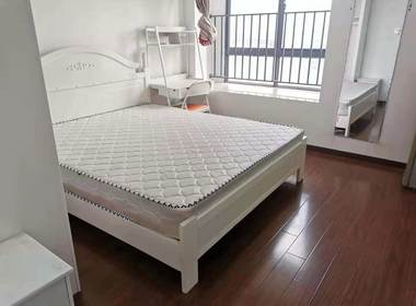 明珠公寓（振新店） 1室0厅1卫