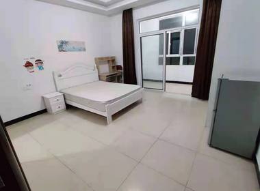 榴莲公寓（二联家园店） 1室0厅1卫