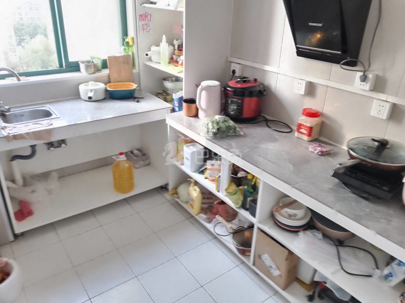 虹叶茗园488596厨房图6