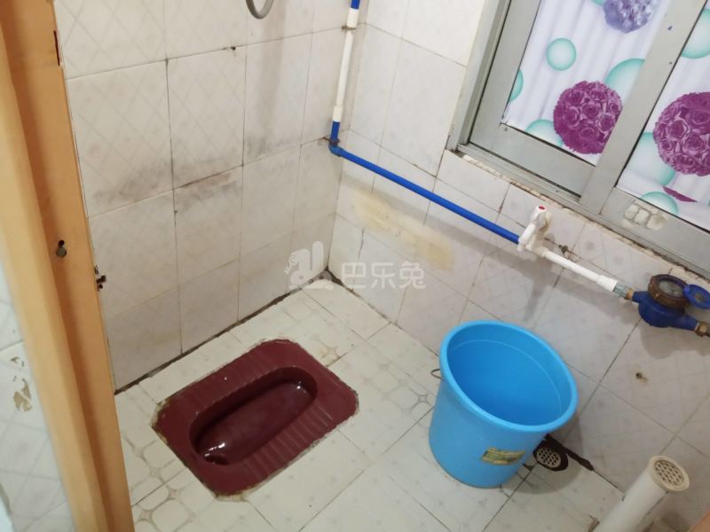 龙洞南门头一巷4号7716674卫生间图10