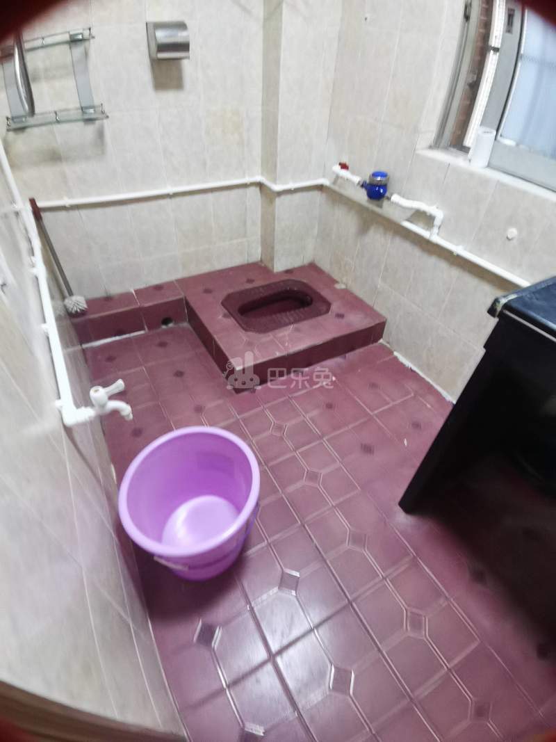 龙洞环村南街25号7716703卫生间图9