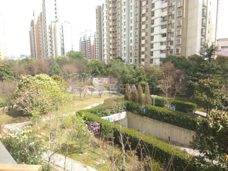 柏丽华庭779218周边环境图8