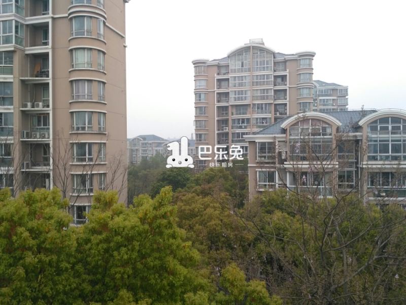 上海宝山_东方丽都_1室0厅0卫_合租朝北_友谊路2858弄-上海巴乐兔租房
