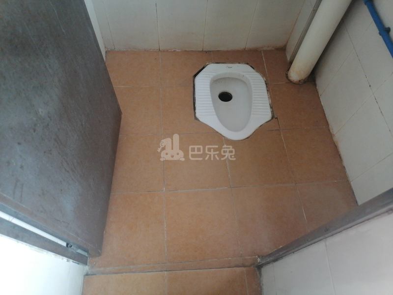 珠村东横三路一巷八号7757509卫生间图13